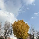 도림슈퍼 | 서촌 이도림카페 북촌 오늘의집 오프하우스