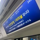 EP.01 웨스트젯 캘거리 인천 직항 후기, 도착하자마자 먹은 곱분이 곱창...다음날은 사위식당 낙곱새...