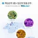 아이맘건강식품 | [제품리뷰] 쌉 J 남편이 사다준 셀티아이맘 유산균 : 임신과 함께 찾아온 변비 (내돈내산)