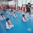 인성튼튼태권도 이미지