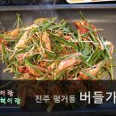 버들가 Daum카페