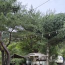 더캠프마트 | 경기도 숲뷰 포천글램핑 캠프오후4시 솔직후기 (여름 벌레....)