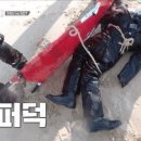 강철농장 이미지