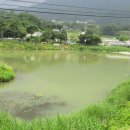 고은1리 이미지