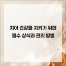제때관리 네이버블로그