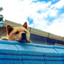 공부는 망치다 이미지