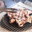 바다산곰장어 이미지