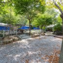 영월천문대 캠핑장 이미지