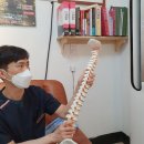 치유의숲필라테스 | 체형교정원 : 치유의숲 / 허리통증으로 다녀온 후기