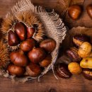 헬스 맛 짐 이미지