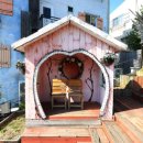 갈릴리농장 이미지