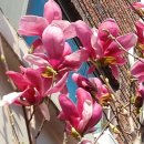 닥터정치과의원 이미지