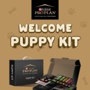 퍼피트렌드 이미지