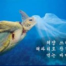 The 바다