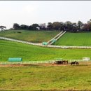 덕양목장1 이미지