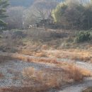 영헌축산 | 울산 울주군 반구대 집청정 팜스테이 한옥스테이