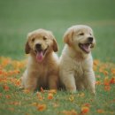 [평생학습관 - 정신건강복지센터 연계] 우울 및 스트레스 관리(12월) | 퇴직 후 우울증 극복 방법: 새로운 일상을 만드는 7가지 관리법