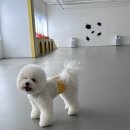 네일했섬