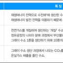 그린위드(주) Daum카페