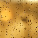 광주스마일행정사사무소 이미지