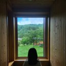 행복충전힐링요가 | 평창 오대산 명상마을 옴뷔 힐링 1박2일 스테이 후기