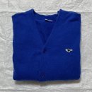 코발트블루 이미지