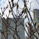 우두공인중개사사무소 이미지