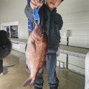 아산락실내바다낚시터 이미지