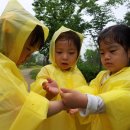 동심어린이집 이미지