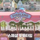 에버랜드 튤립축제 산리오 캐릭터즈 스페셜 포토타임 예약방법 가격 이용후기