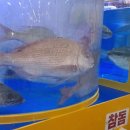 당진어시장 이미지