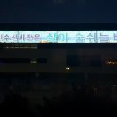 시장상회 이미지