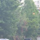 홍콩반점0410 부천도당점 이미지