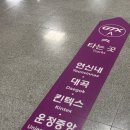 스타트원짐 | 러너블 인사이더런 W 2026 12시 타임 후기 기념품 코스 이벤트 부스 짐 보관