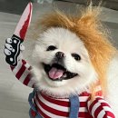 땡큐치킨 - 서구 평리동 | 땡큐치킨