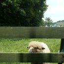 동은목장 이미지