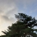노경1리마을회관 이미지