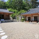 더옐롱