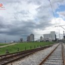 미시시피 이미지