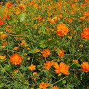 병방산군립공원 이미지