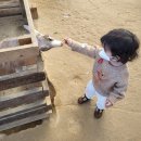 주란농장1 | 부천 나눔농장, 두돌 아기랑 아기동물 먹이주기 체험