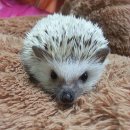 지인동물병원 이미지