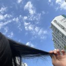 저단55 | 안산 고잔동 미용실, 살롱드로웰미_동글동글 내 얼굴에 히피펌 과연 어울릴까?!