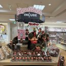 아뮤고나 이미지