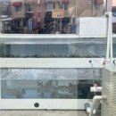 숙이네횟집 - 고성군 두포5길 430-4 | 숙이네횟집