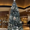 MM휘트니스 | 구 파라스파라 '안토 호텔' 팀버주니어 호캉스 내돈내산 솔직후기