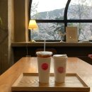 어씨빅센터커피