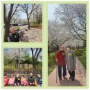 효성제일노인건강센터 | 서구루원재활노인주간보호센터 가정동 치매재활 프로그램 직접 확인