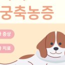 백석동물병원 - 천안시 서북구 백석3로 134 | 백석동물병원