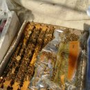 새봄농장 이미지